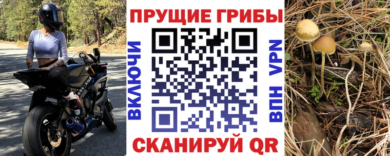 магазин продажи наркотиков  Воскресенск  Псилоцибиновые грибы мицелий 